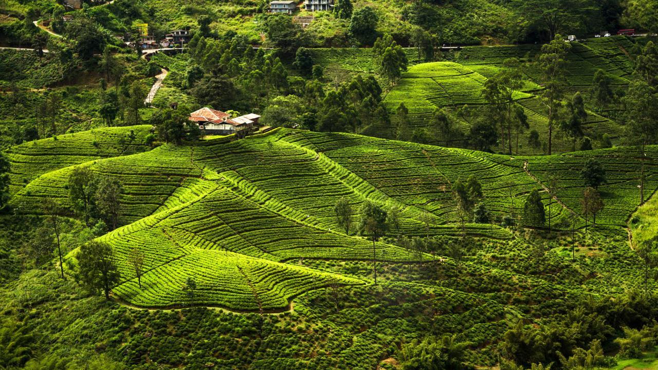 Kirula Green Hotel Nuwara Eliya Exterior photo